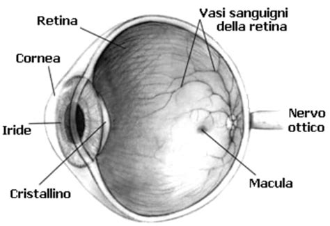 “Punti di vista”, occhio e fiuto per gli occhiali senza tempo